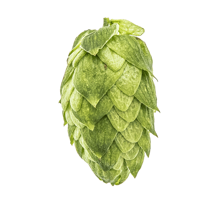 cone