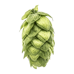 Photo of Azacca® Brand hop cones
