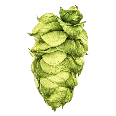 Photo of Dolcita® Brand hop cones
