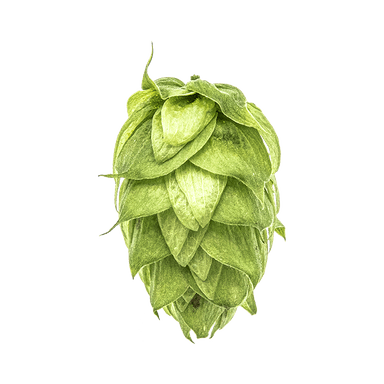 Photo of Galena hop cones