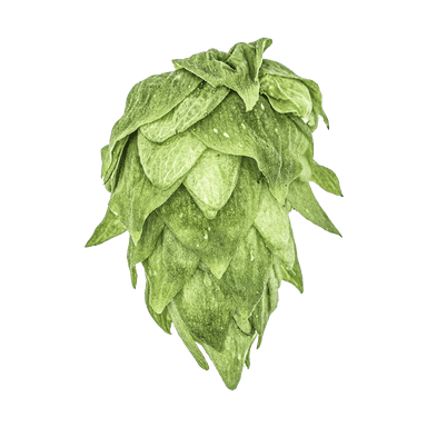 Photo of Krush® Brand hop cones