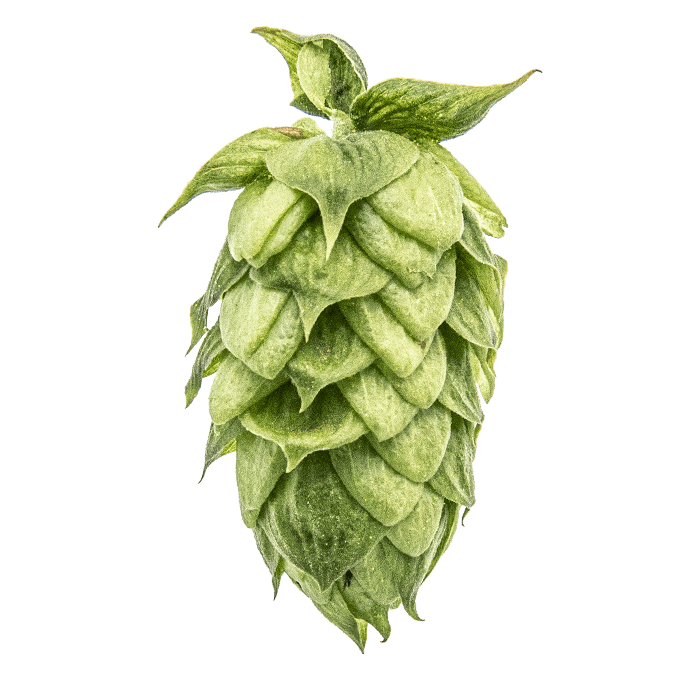 cone