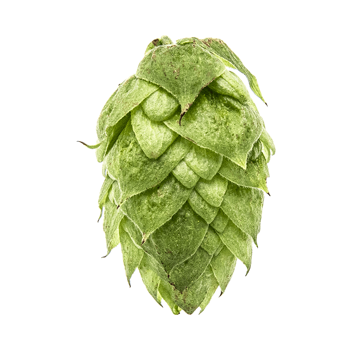 Photo of Jarrylo® Brand hop cones