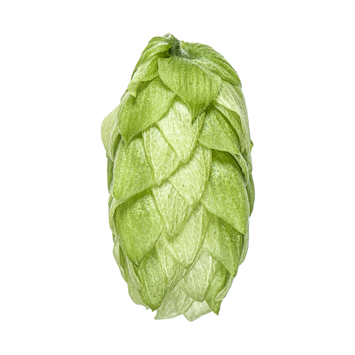 cone