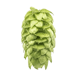 Photo of Mosaic® Brand hop cones
