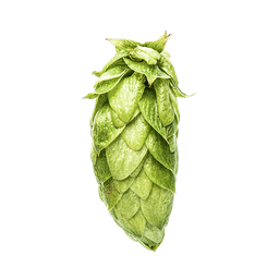 Photo of Nectaron® Brand - NZ Hops hop cones