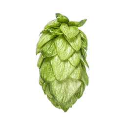 Photo of Pacifica™ Brand - NZ Hops hop cones