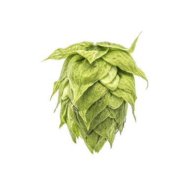 Photo of Pekko® Brand hop cones