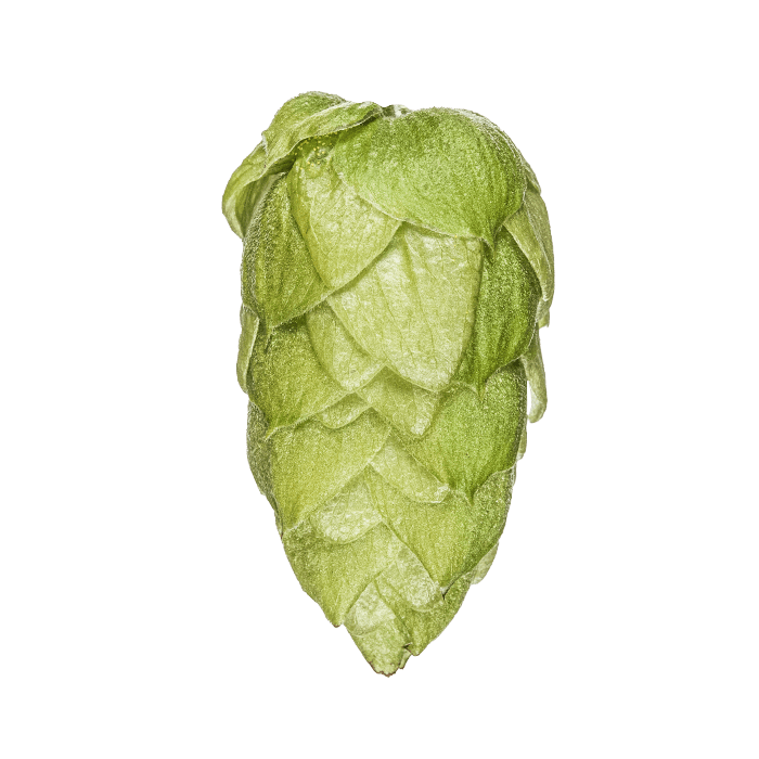 Photo of Riwaka™ Brand - NZ Hops hop cones