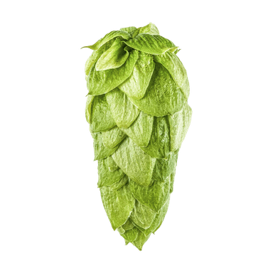 Photo of Superdelic™ Brand - NZ Hops hop cones