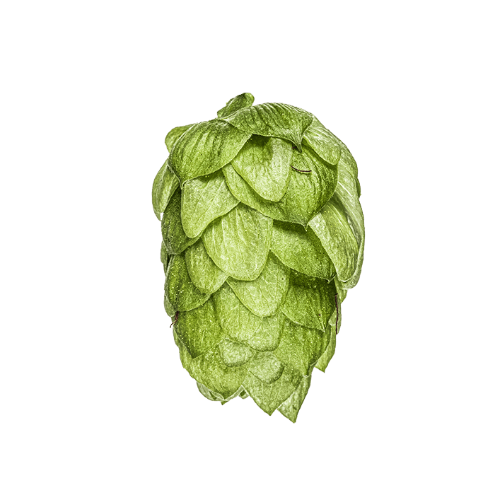 Photo of Wakatu™ Brand - NZ Hops hop cones