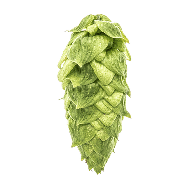 Photo of Warrior® Brand hop cones