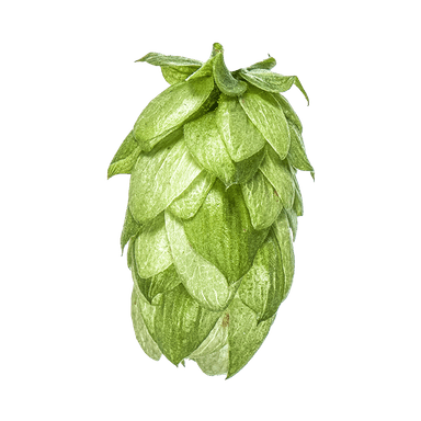 Photo of Wai-iti™ Brand - NZ Hops hop cones