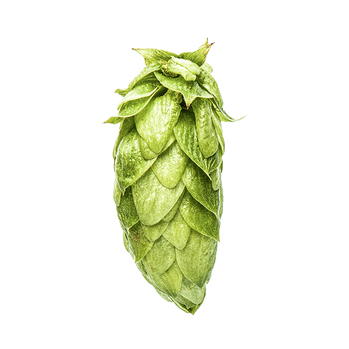 Photo of Nectaron® Organic Brand - NZ Hops hop cones