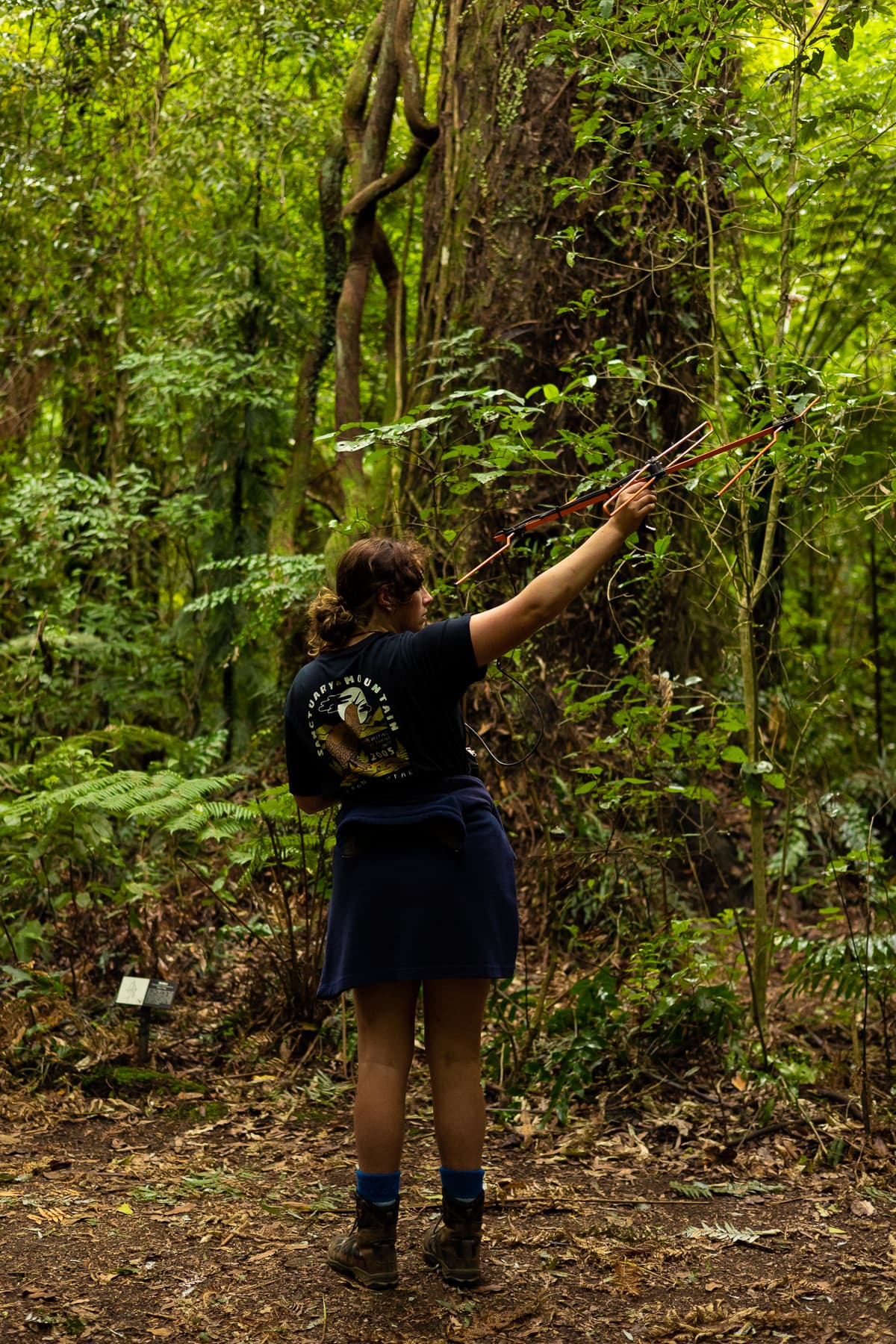 Ranger_searching_for_kiwi_-_Sanctuary_Mountain_Maungatautari.jpg