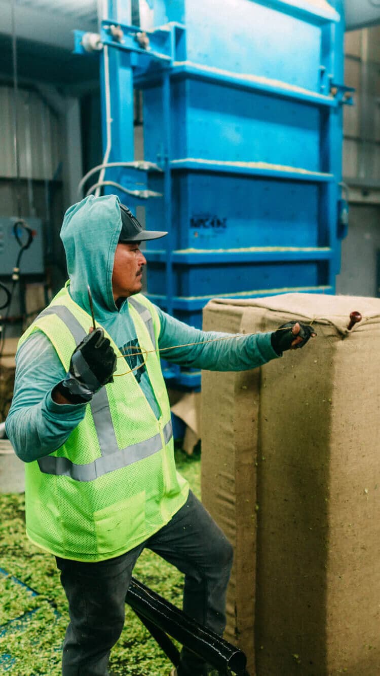 Image of a man stitching a hop bale closed