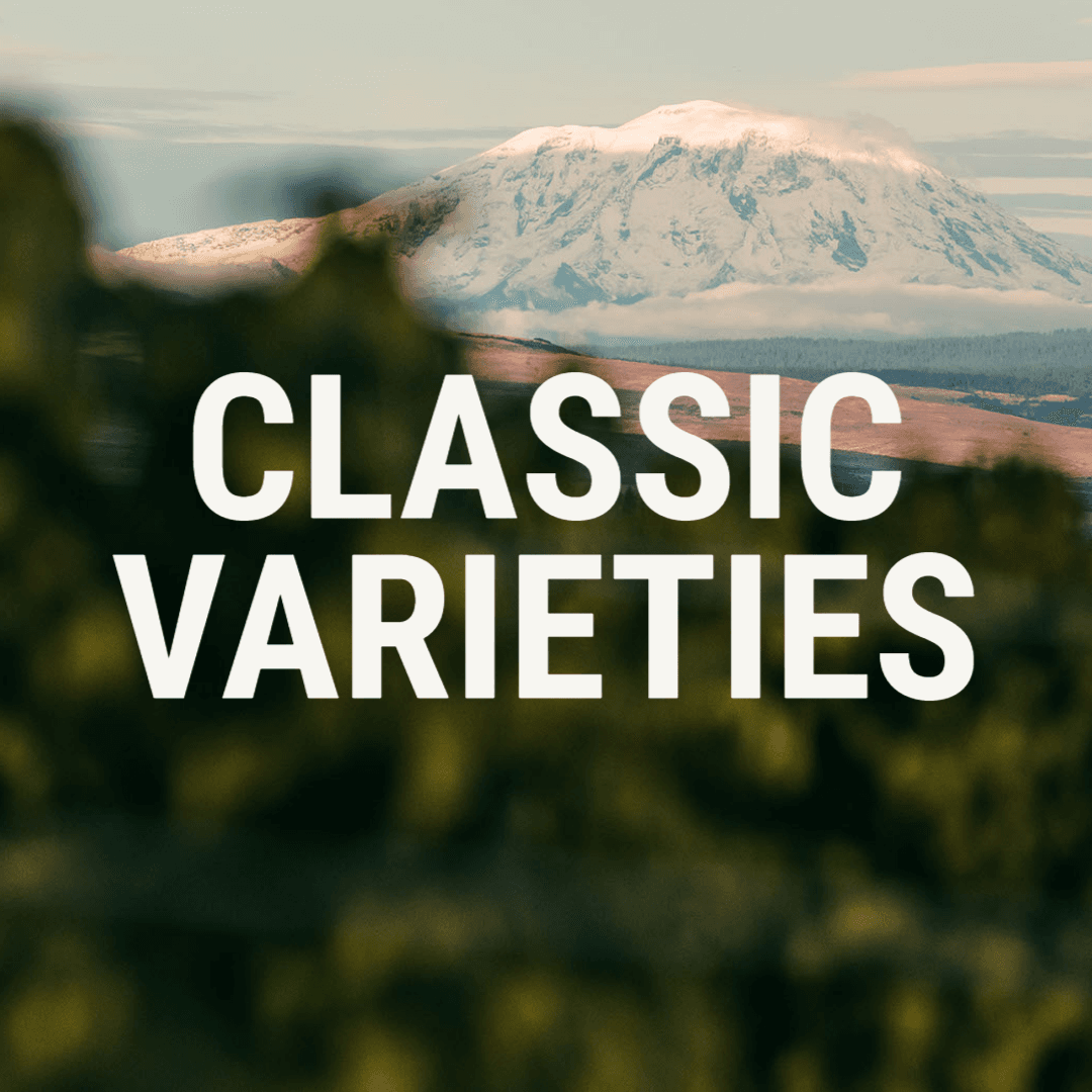 wysiwyg/CLASSIC_VARIETIES.png