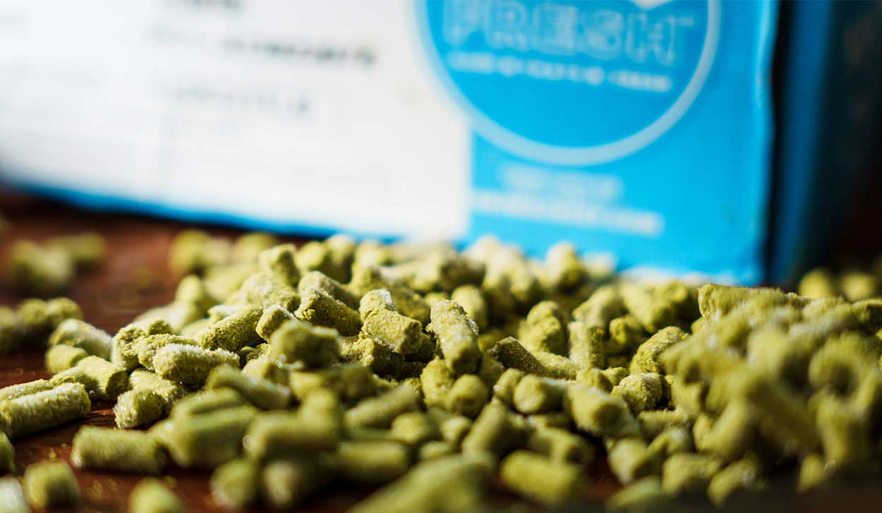Pile of fresh green hop pellets