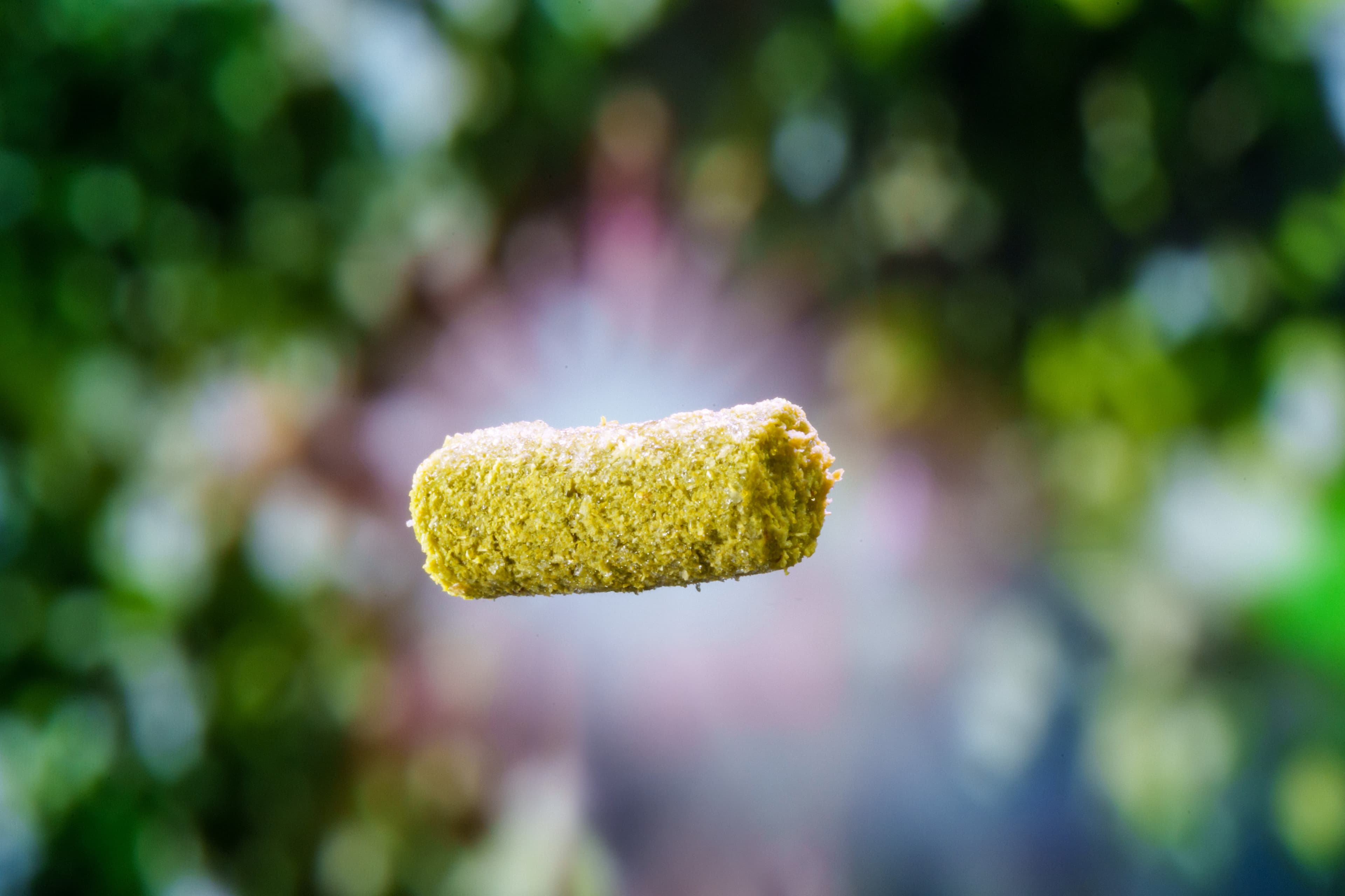 Singular vibrant green hop pellet with sun starburst behind it