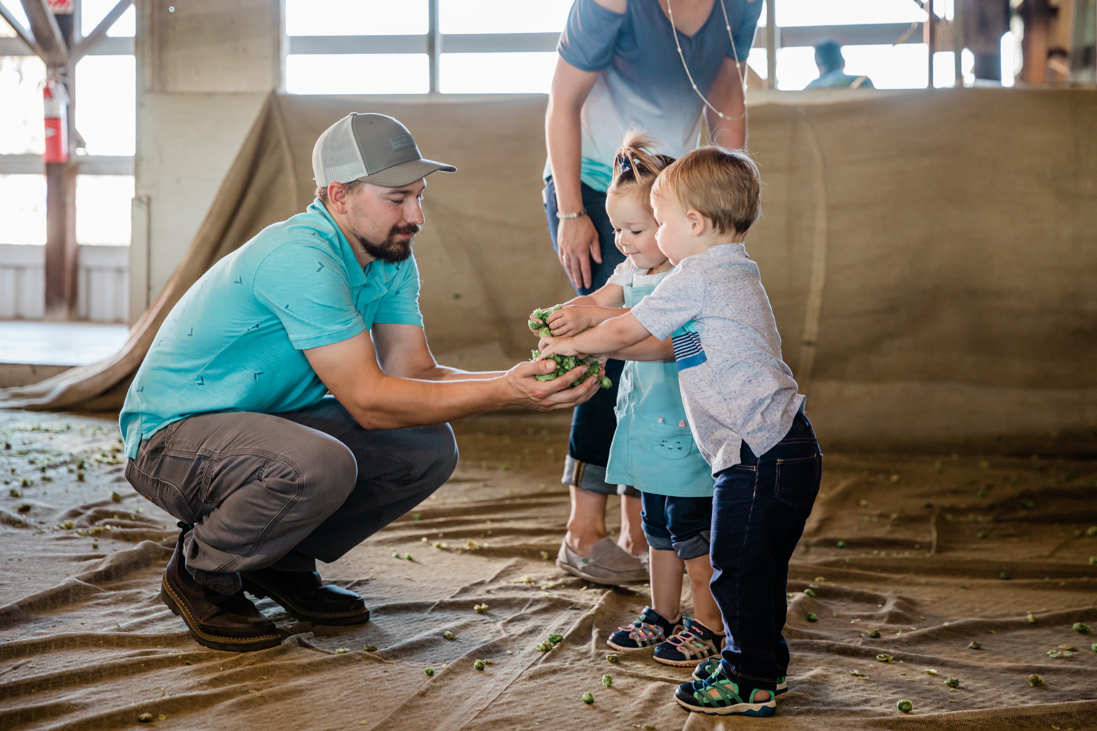 Children placing a handful of hops into their dad's hands in a hop kiln