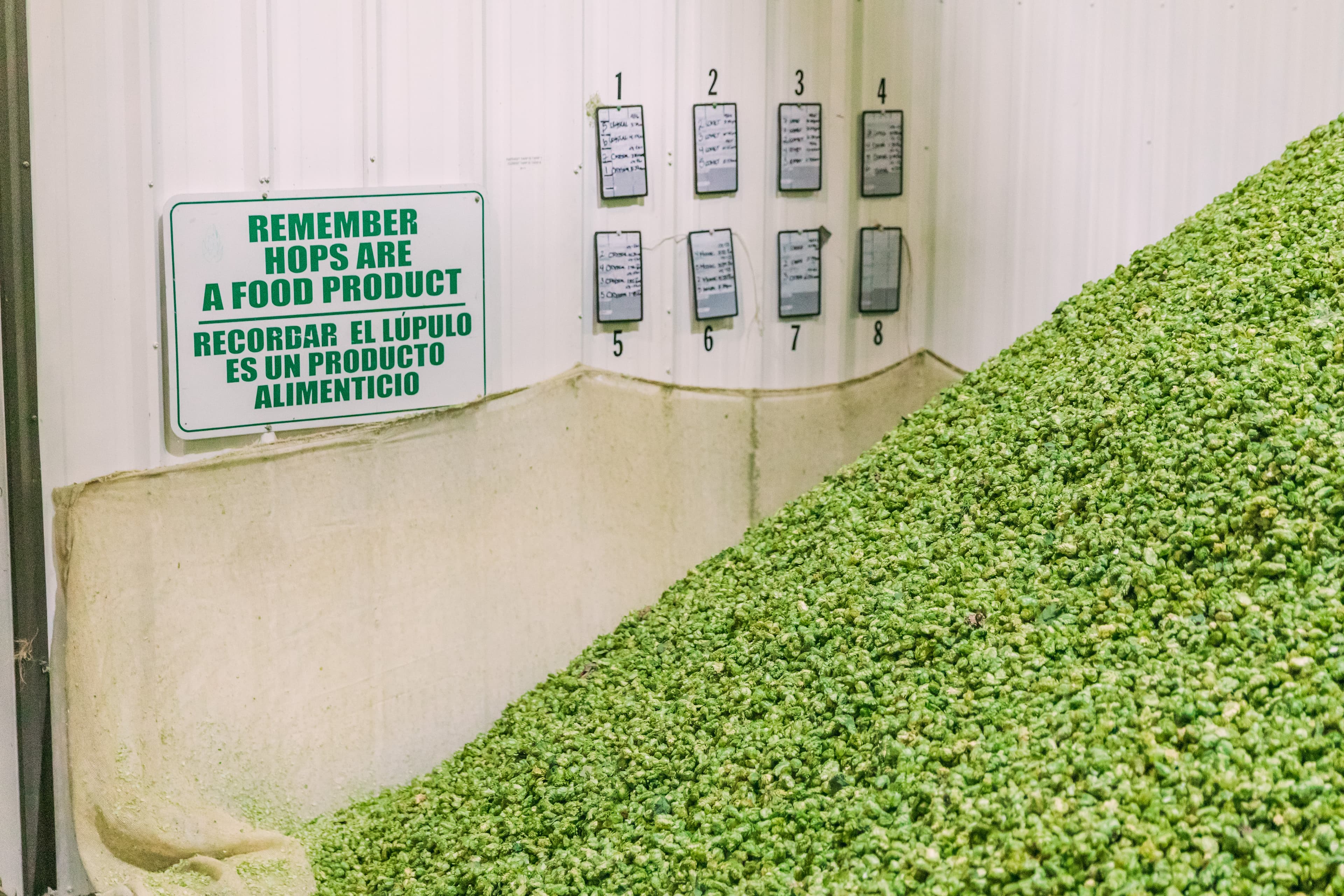 Pile of harvested hop in front of a wall with sign that reads “remember, hops are a food product”