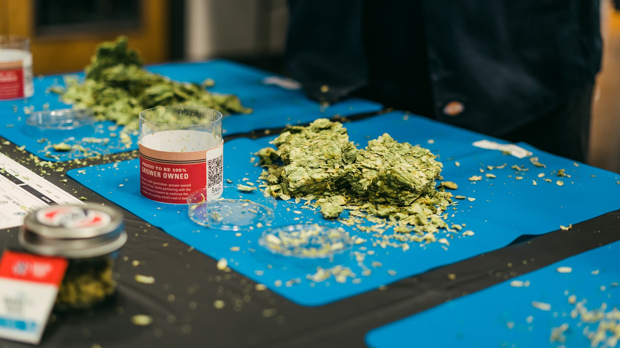 Pile of hop leaves from sample spread out on table