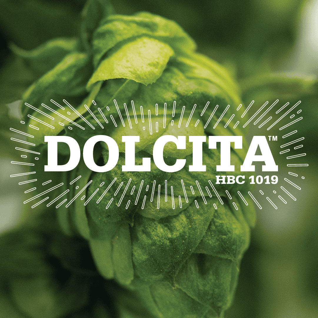 wysiwyg/Dolcita-Socials-MasterSocial-1080-2_1.png