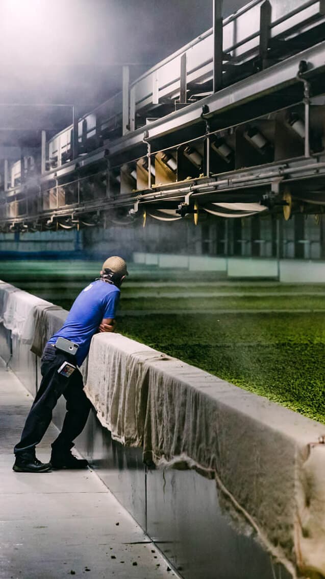 Image of man inspecting a kiln full of hops