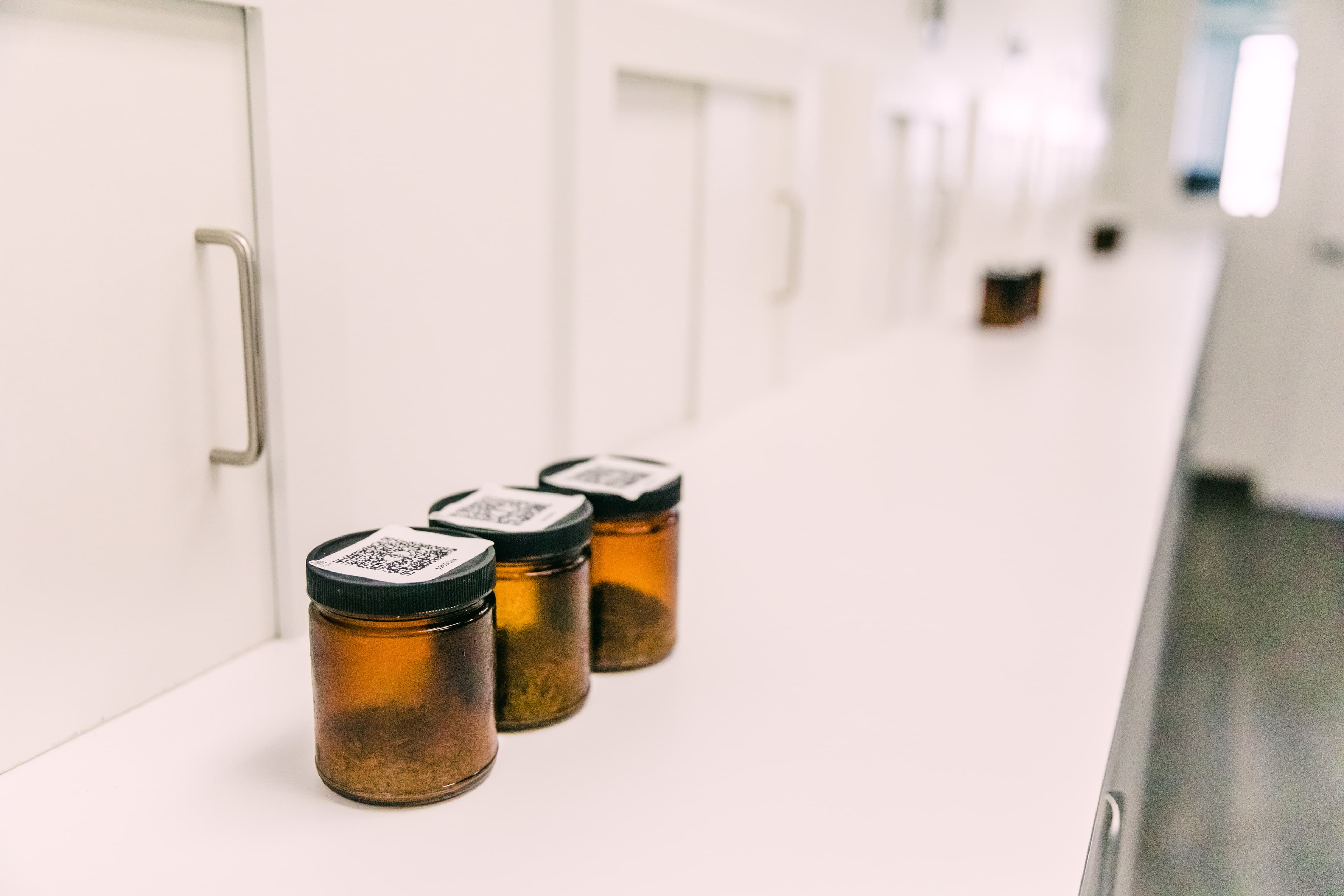 Amber glassware filled with hops inside a laboratory setting