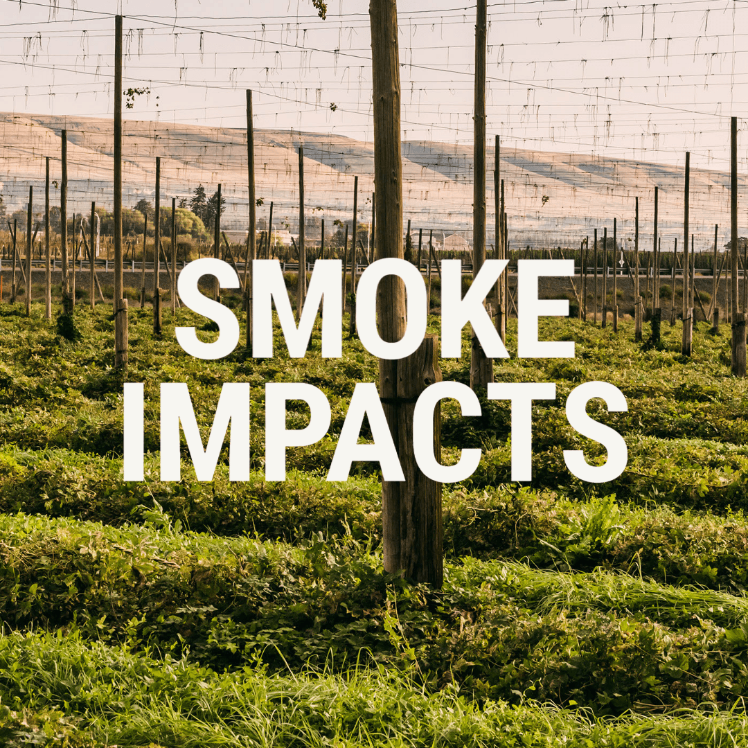 wysiwyg/SMOKE_IMPACTS.png