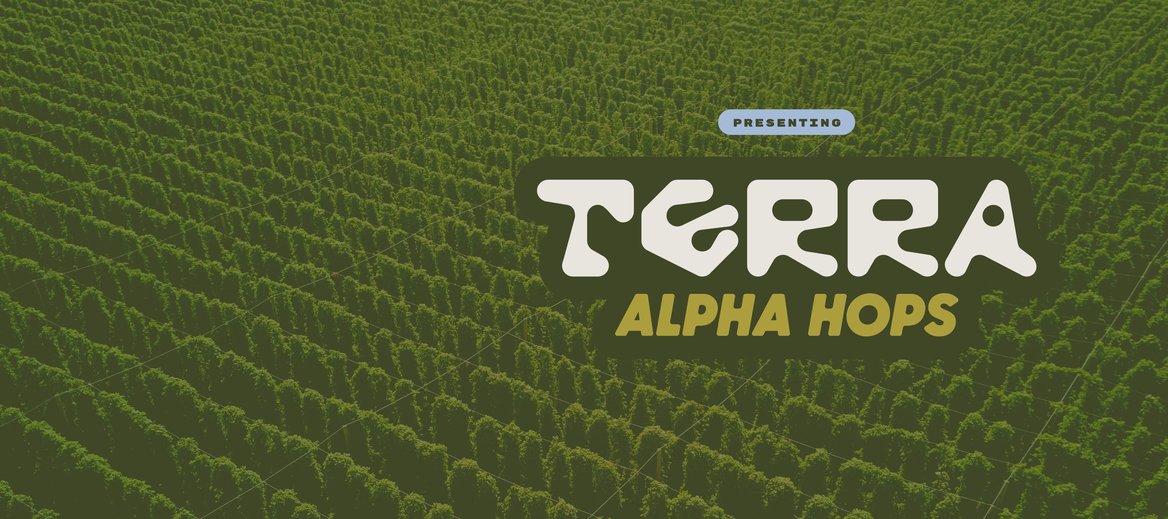 Terra Alpha Hops Logo