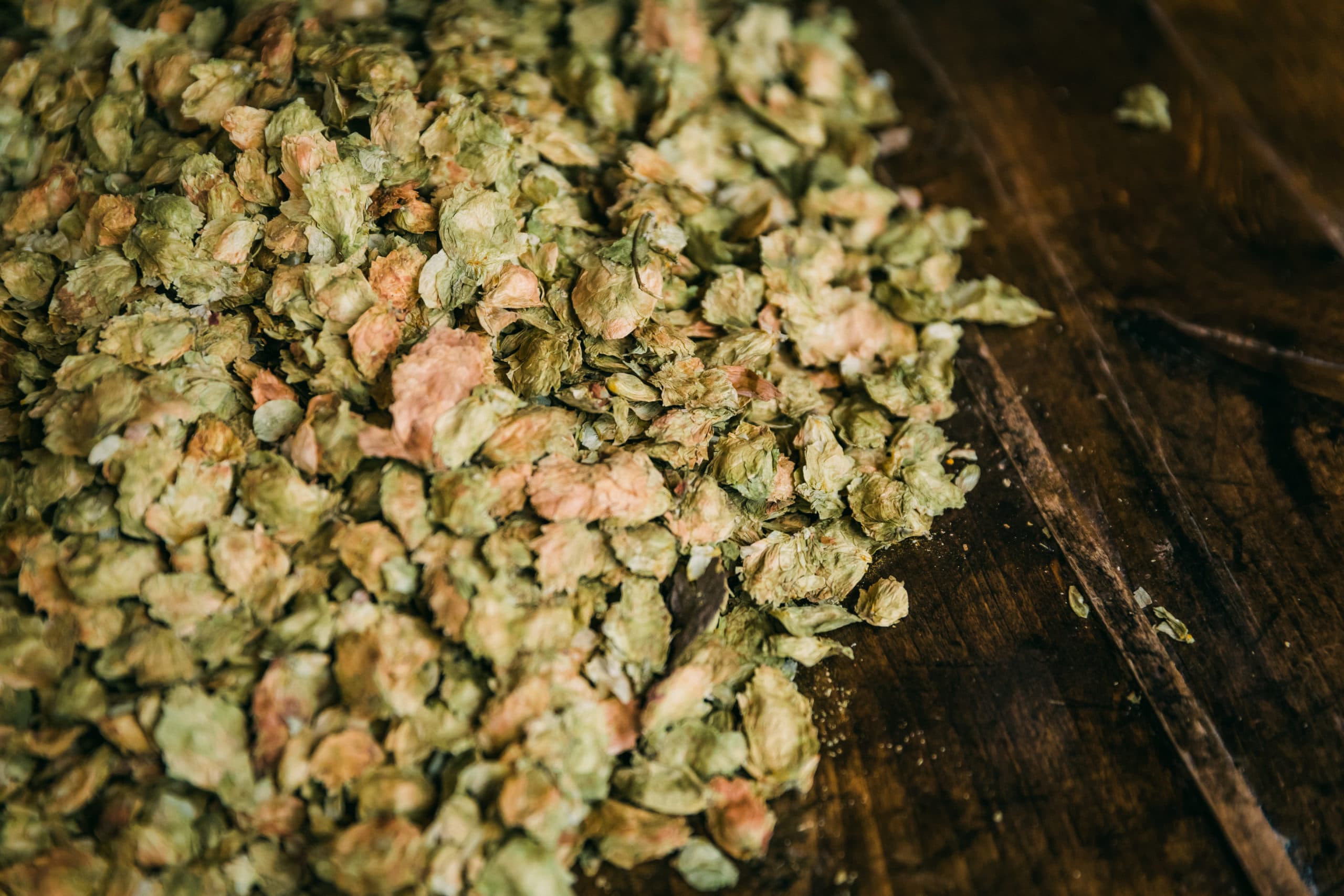 yakima chief aged hops