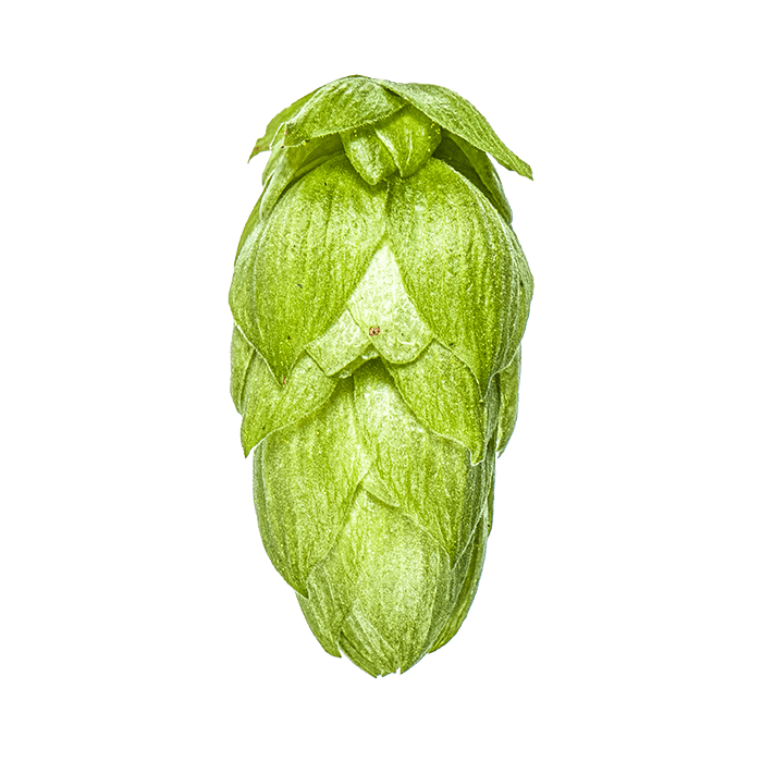 Photo of Rakau™ Brand hop cones