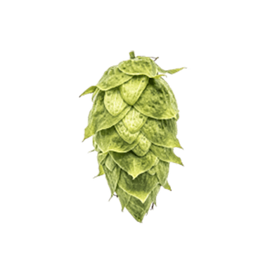 Photo of Ahtanum® Brand hop cones Photo of Ahtanum® Brand hop cones